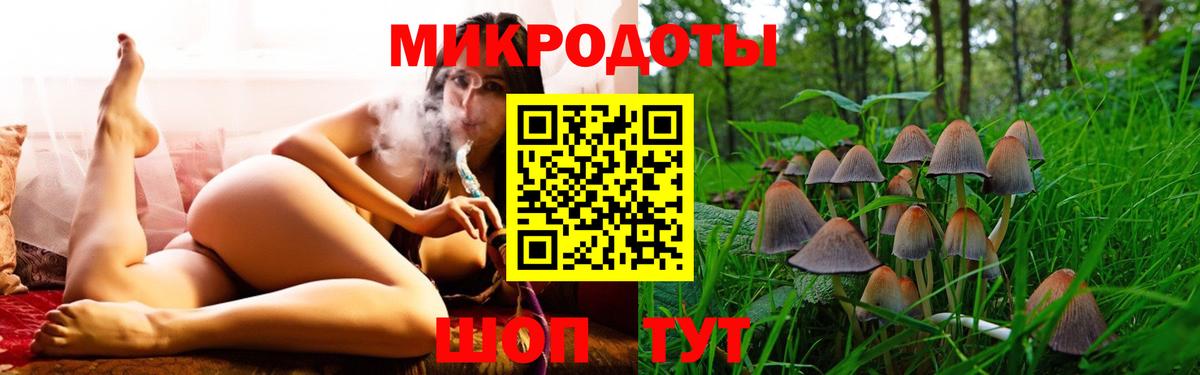 Псилоцибиновые грибы мухоморы Усолье-Сибирское